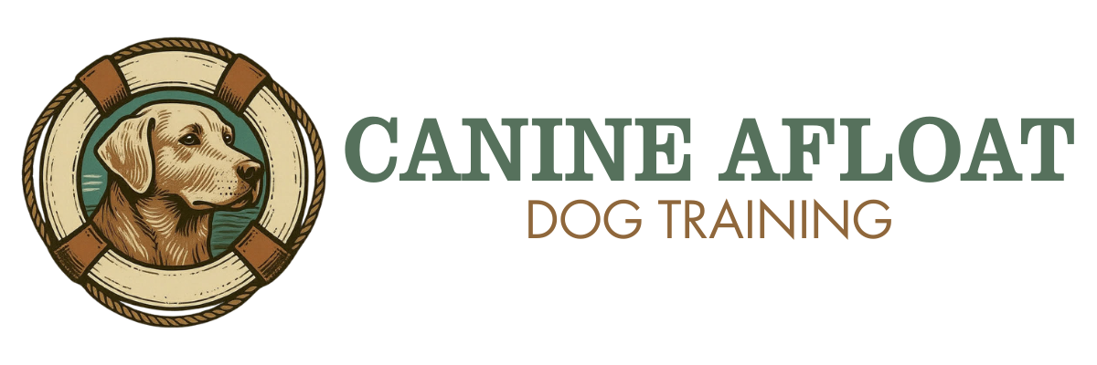 Canine Afloat Dog Training